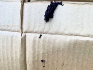 18817 [HD 1280P] - Screenshot 6