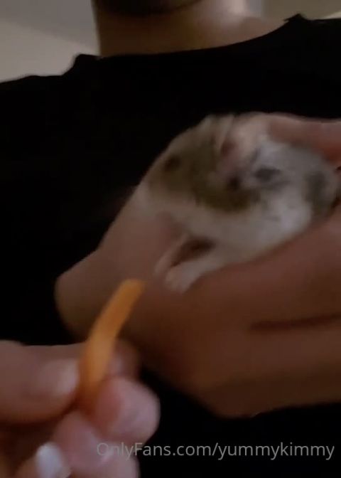 OnlyFans yummykimmy_03_07_2021_yummykimmy-2021-01-04-2001142135