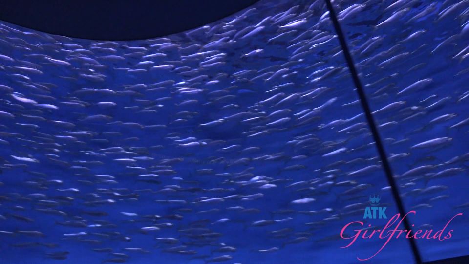 Summer Renee - Norcal 5 [FullHD 1080P]