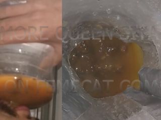 SSBBW Queen Siya – 2 Scenes – On all Fours, Vile Diarrhea [HD] - Screenshot 6